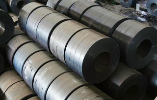 王懷世 鋼鐵未來發(fā)展看特鋼